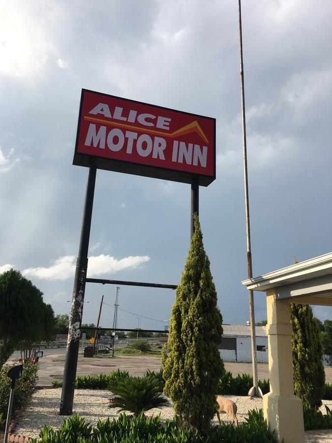 Alice Motor Inn Exteriér fotografie